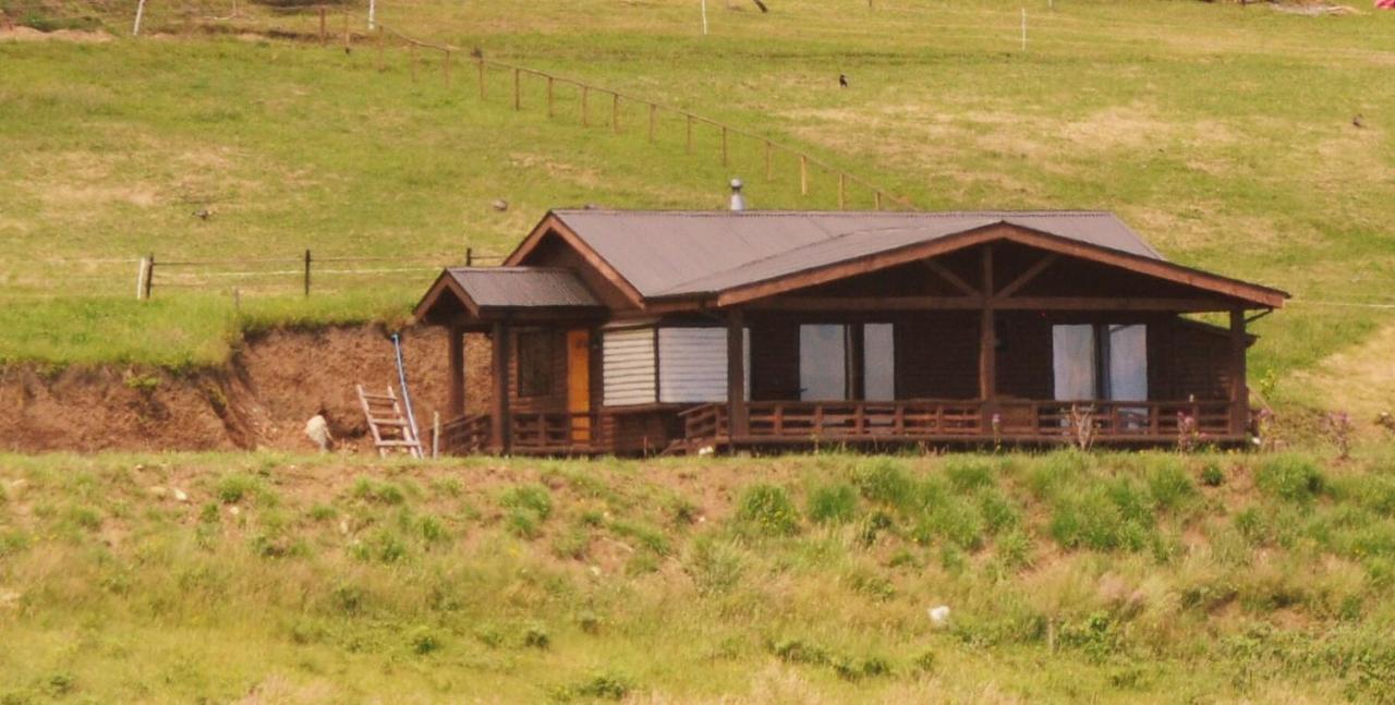 Cabanas Mirador Población Lago Ranco Eksteriør billede